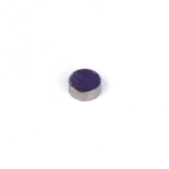 Rare Earth Magnets Size: 5mm Diameter x 2mm Height