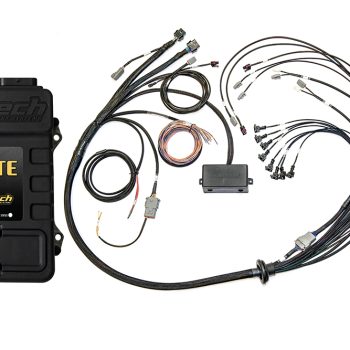 Elite 2500 + V8 Small/Big Block GM, Ford & Chrysler Terminated Harness Kit Injector Connector: Bosch EV1