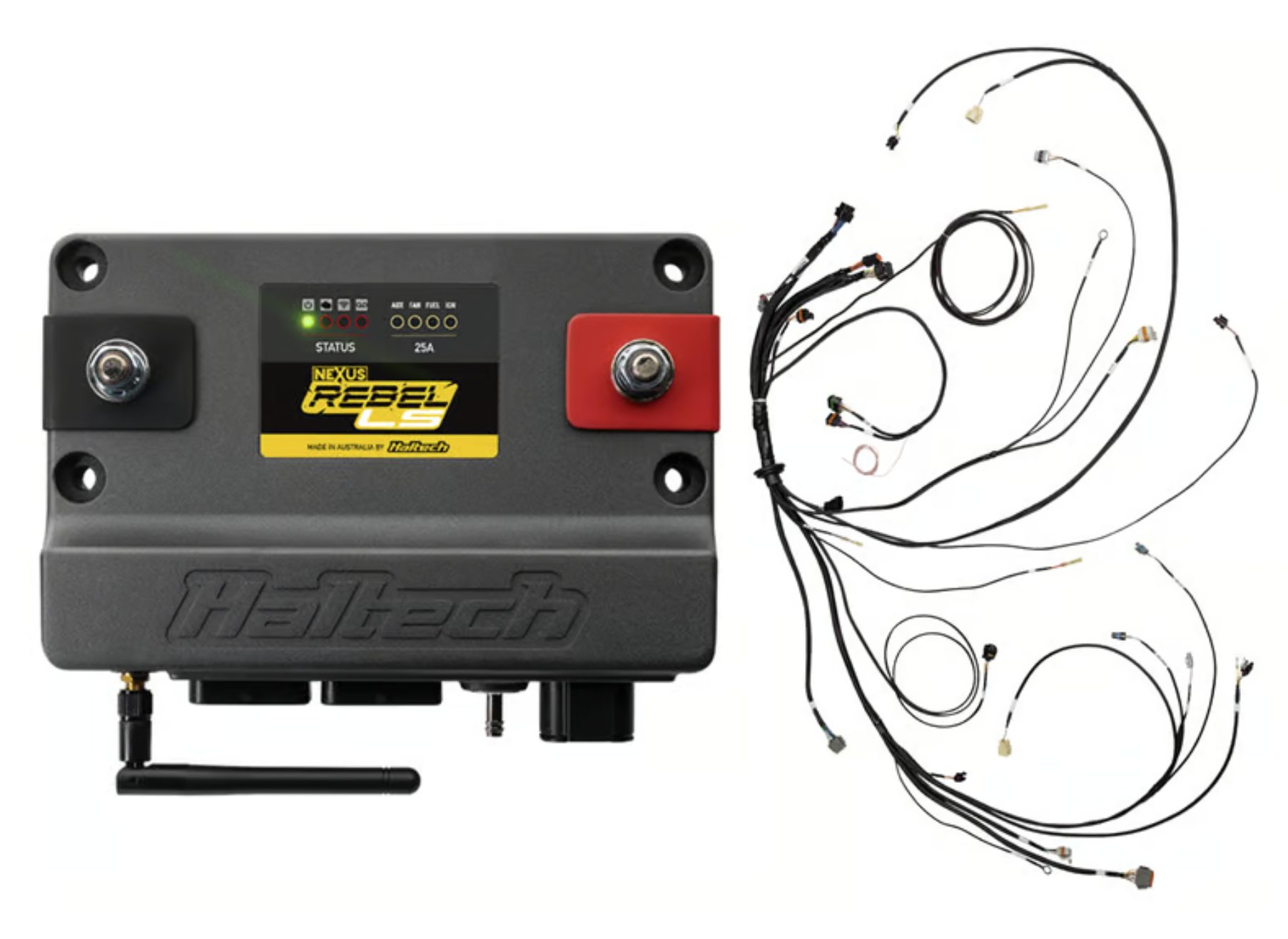 Haltech Nexus Rebel LS Kit w/Cable Throttle EV1 Inj Haltech Nexus Rebel LS Kit w/Cable Throttle EV1 Inj